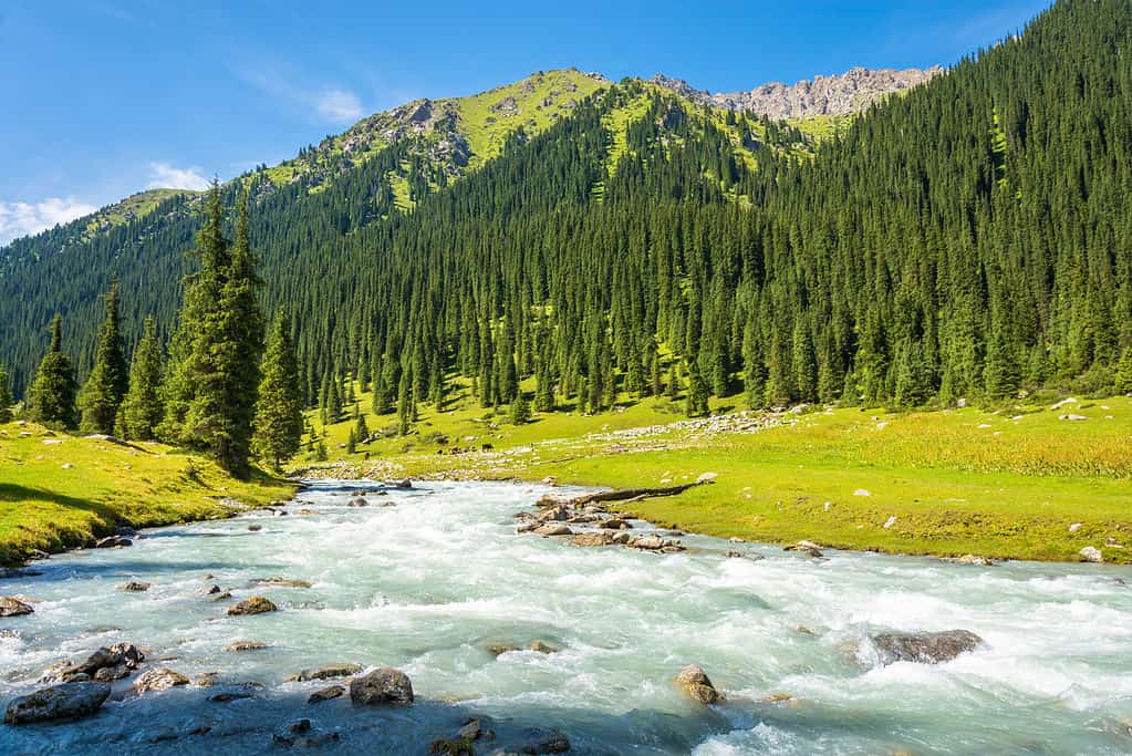 beautiful mountain and river
