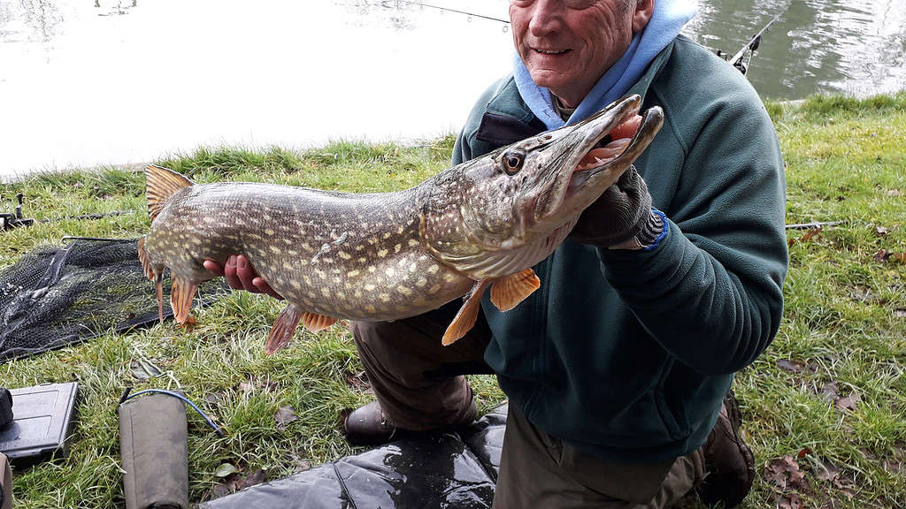 old man holding pike
