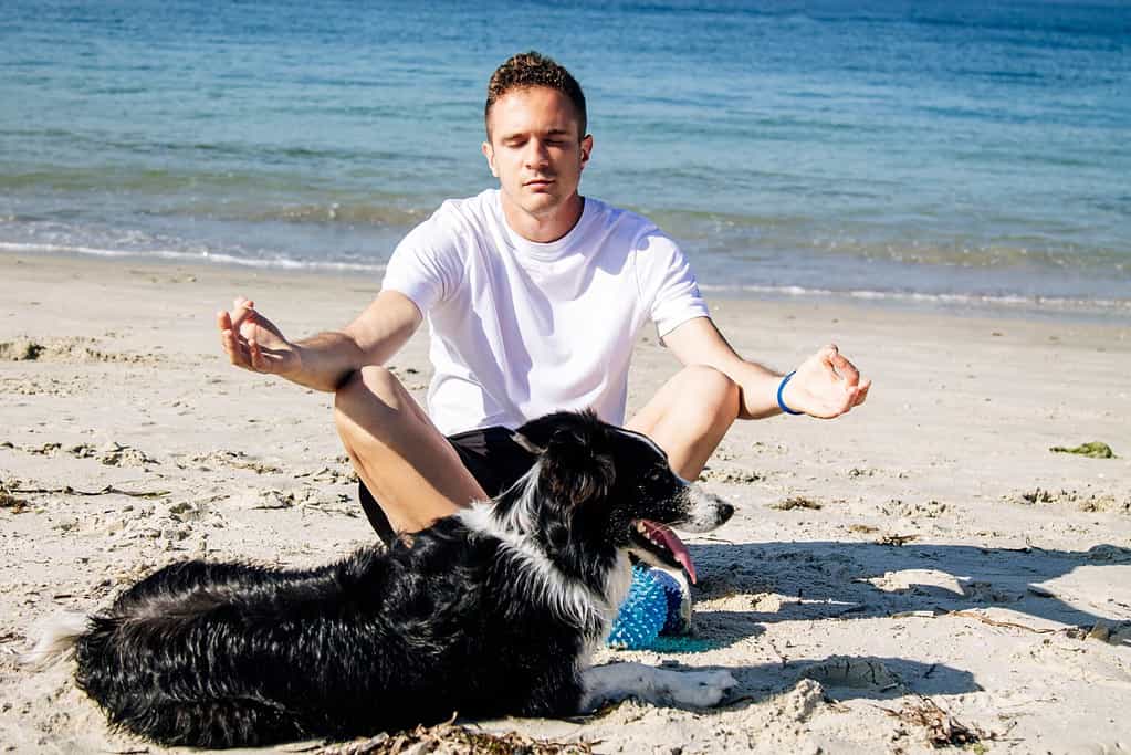 man meditating next to dog on beach