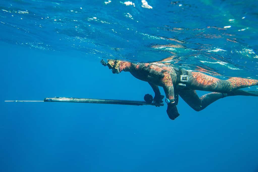 man spearfishing at the surface